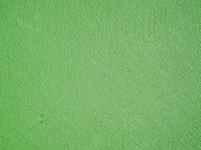 Mushroom Swiss Burger